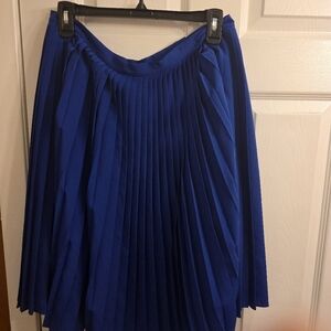 Elegant Blue Pleated Skirt